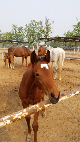 20150429_075103.jpg