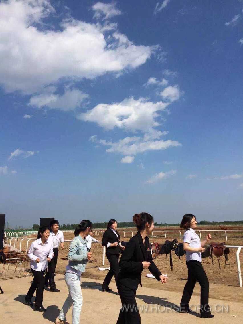 QQ图片20150524103435.jpg