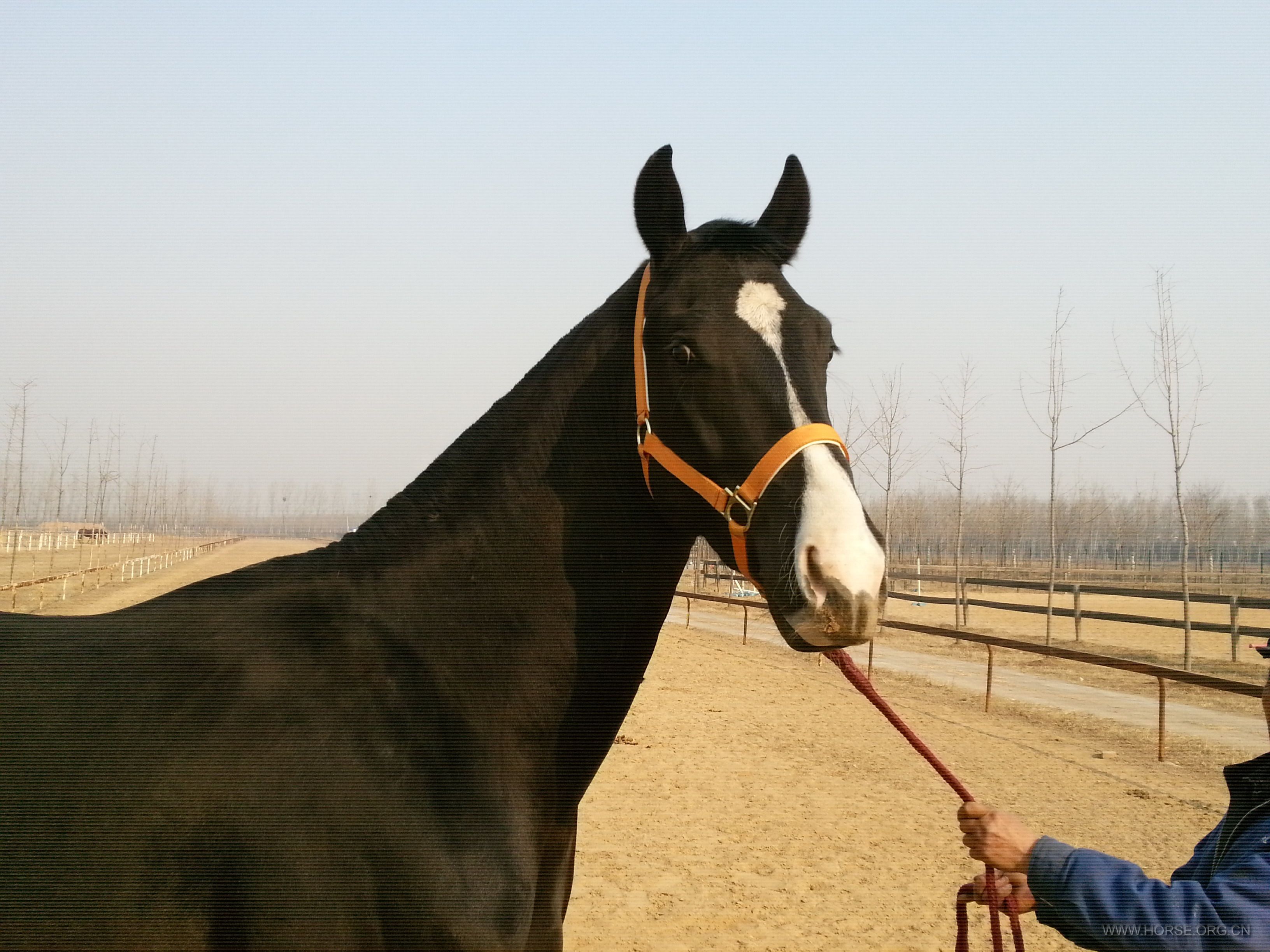 20150202_110655.jpg