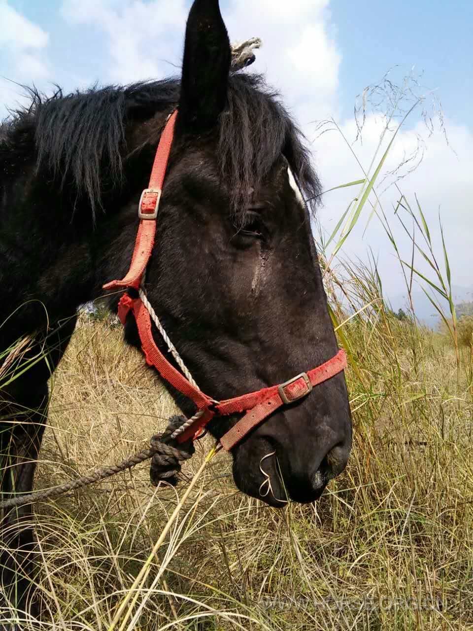 眼泪  鼻涕