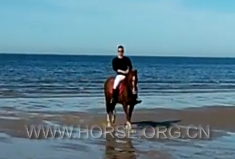 wxid_pl9hylezbax121_1462930575717_14.png