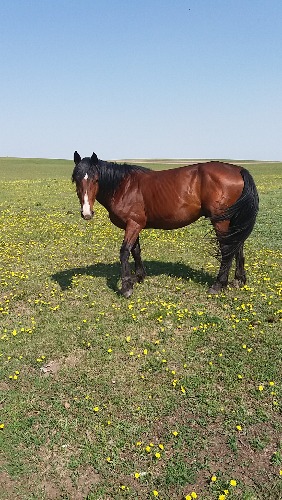 20160603_091916.jpg