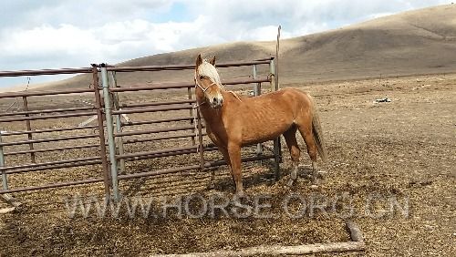 20160418_125214.jpg