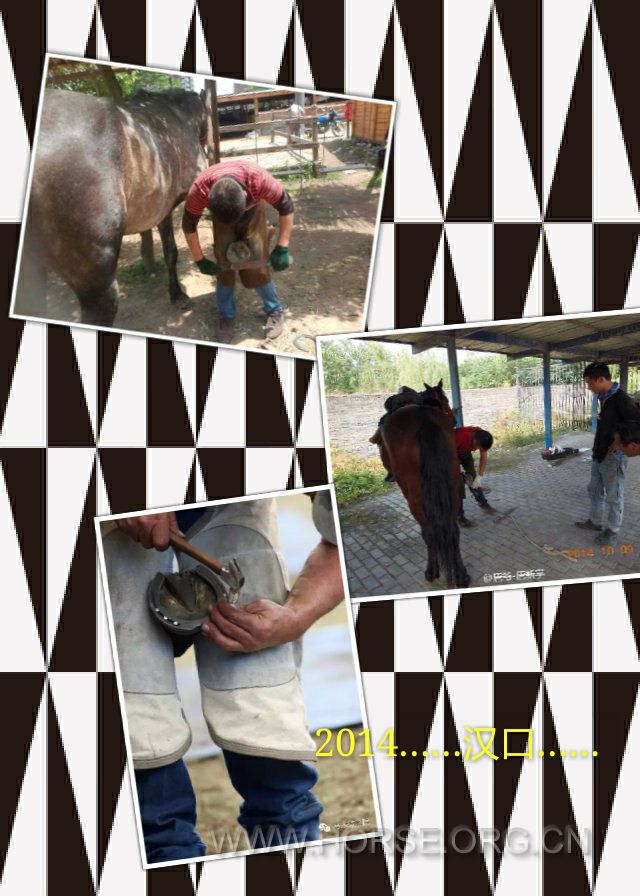 pt2015_07_15_17_33_56_mh1437043346920.jpg
