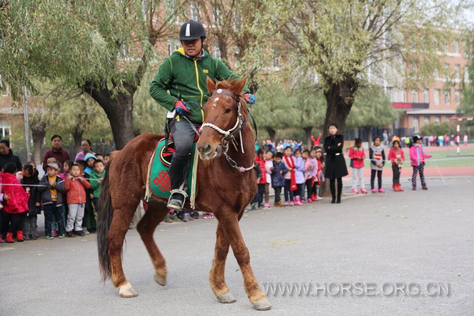 QQ图片20161104070800.jpg