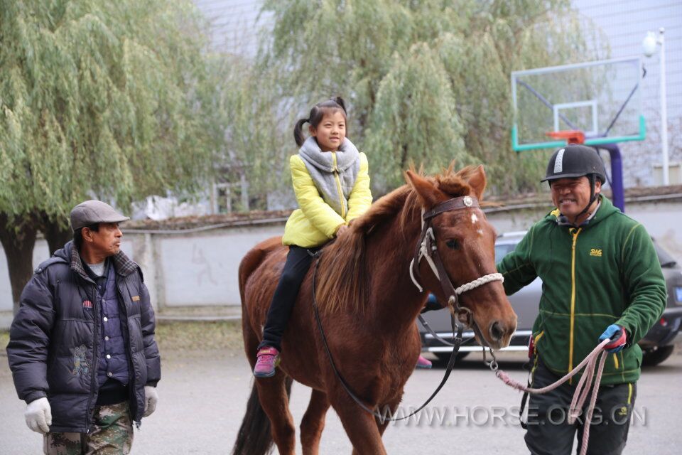 QQ图片20161104070844.jpg