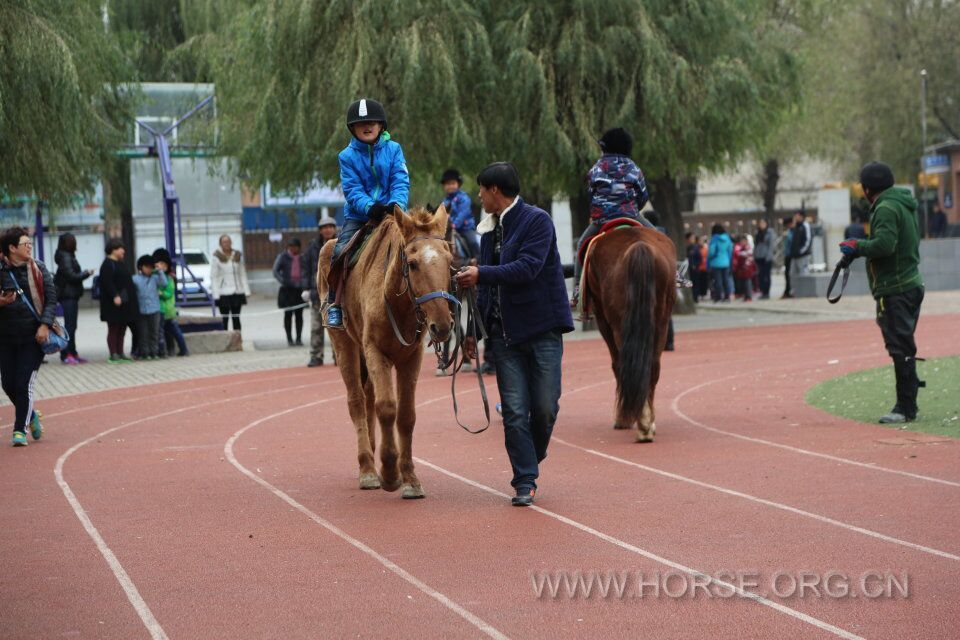 QQ图片20161104071235.jpg