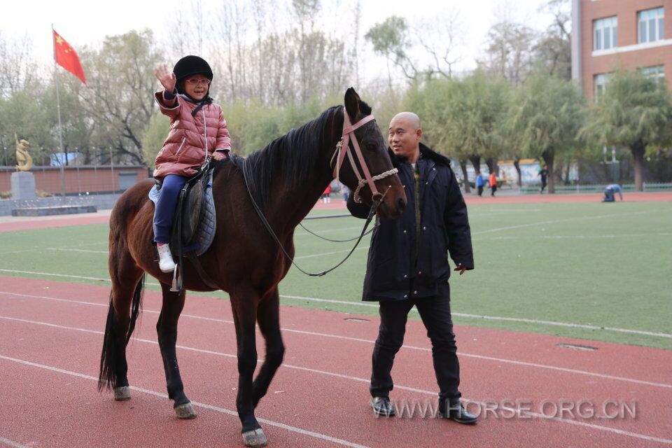 QQ图片20161104071310.jpg
