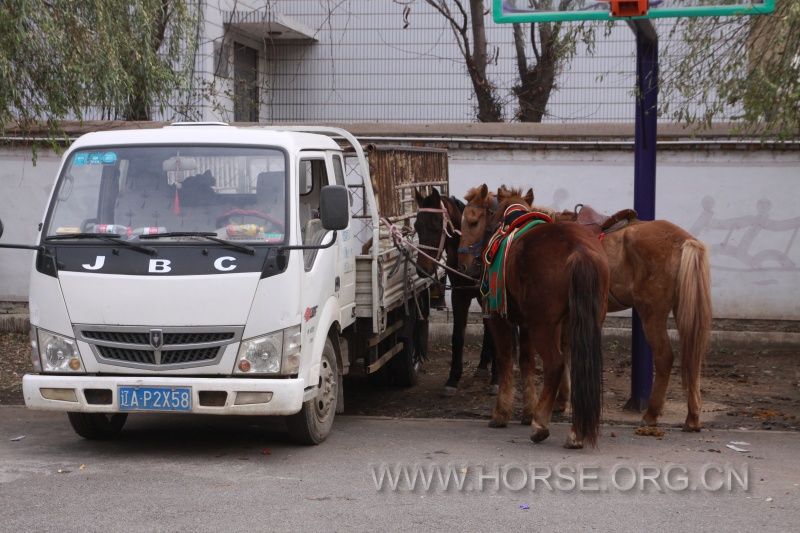 guozhuang1975_1478348593582_68.jpg