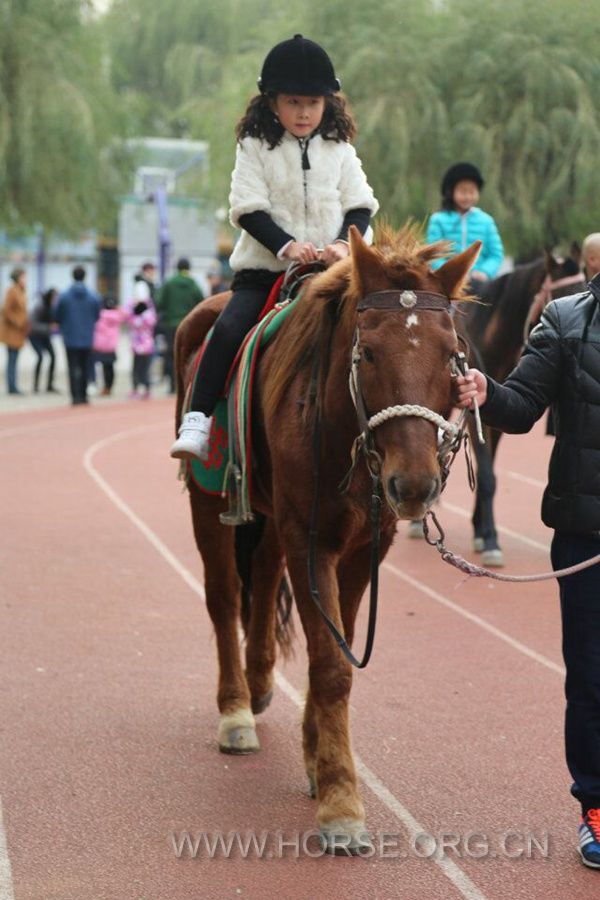 QQ图片20161105212301.jpg
