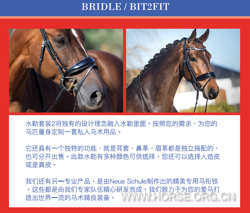 QQ图片20161125112148.png