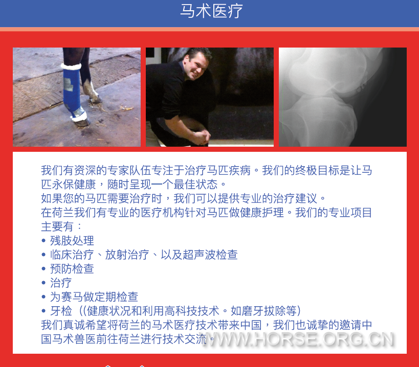 QQ图片20161125112603.png