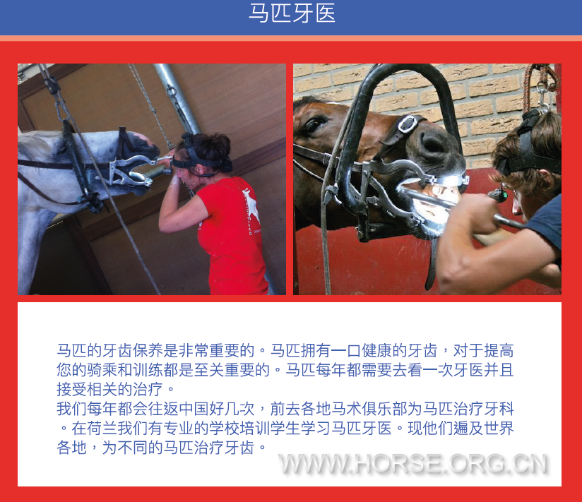 QQ图片20161125112753.png