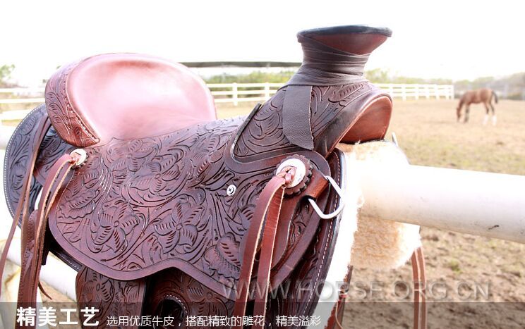 八尺龙为冠军骑手准备的奖品