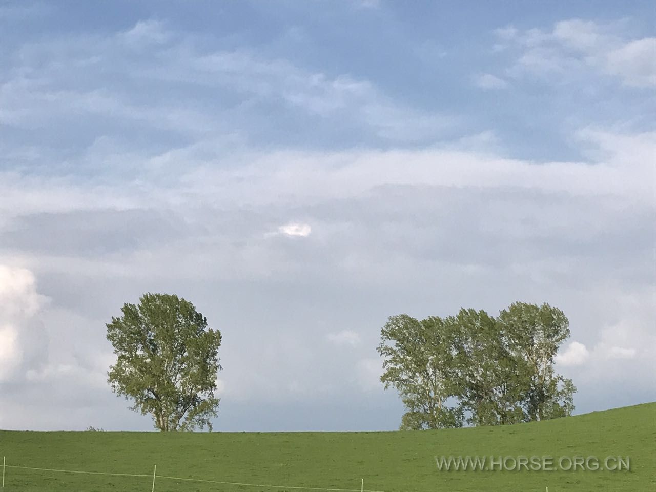 WechatIMG53.jpeg