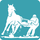 Logo-SkyJoring_listitem_no_crop.png