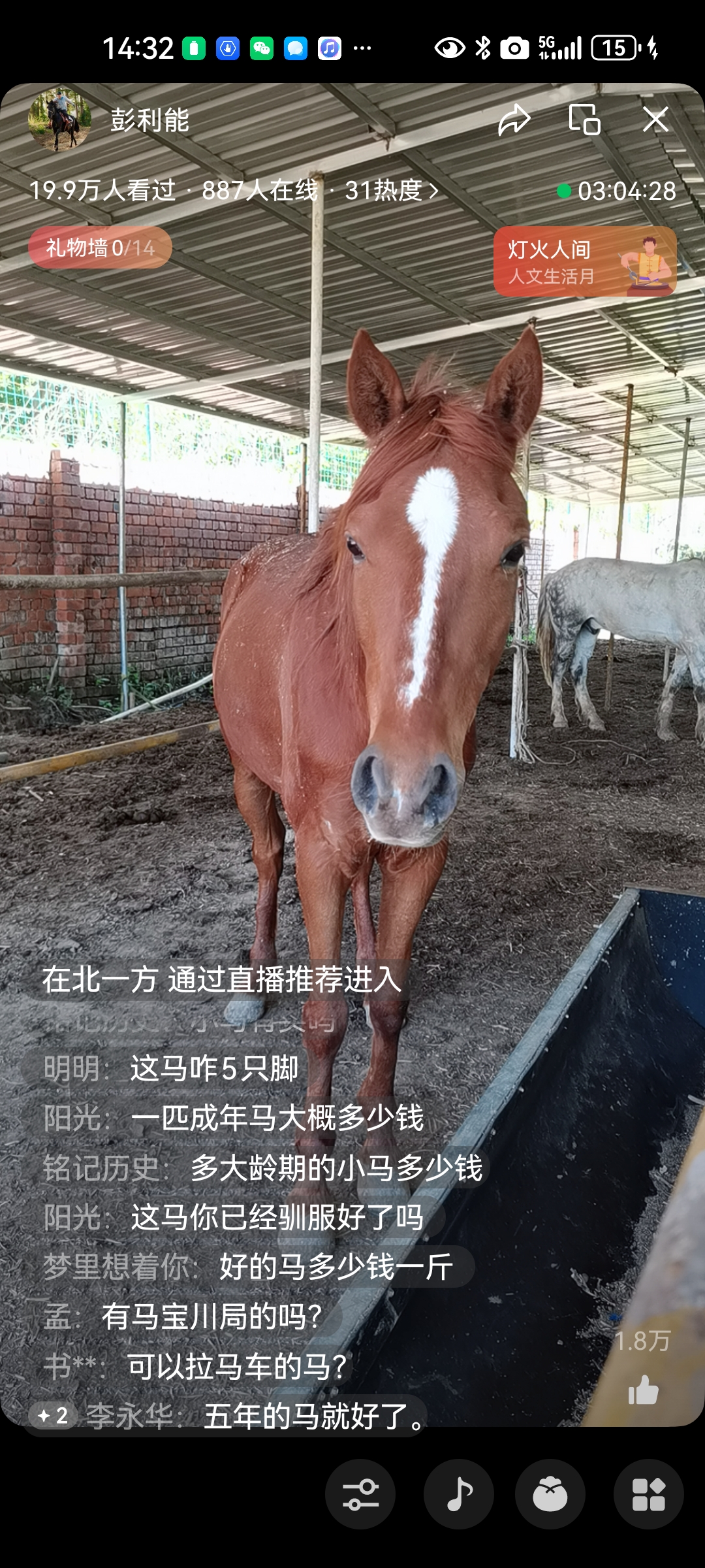 马