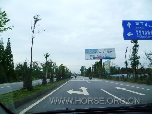 清早去马场小路