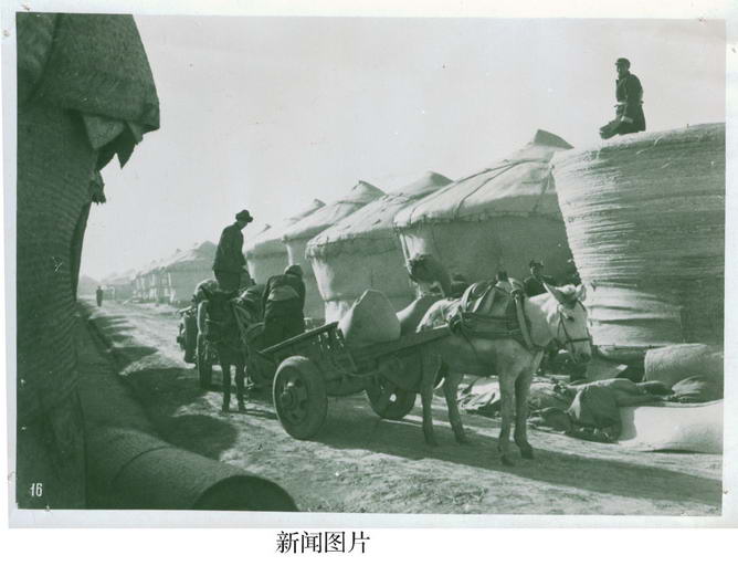 深圳马王请各位马友欣赏马的艺术收藏品