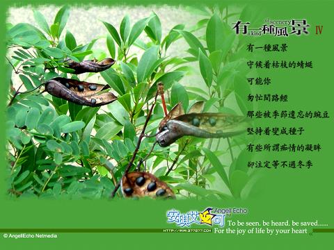 上马马上