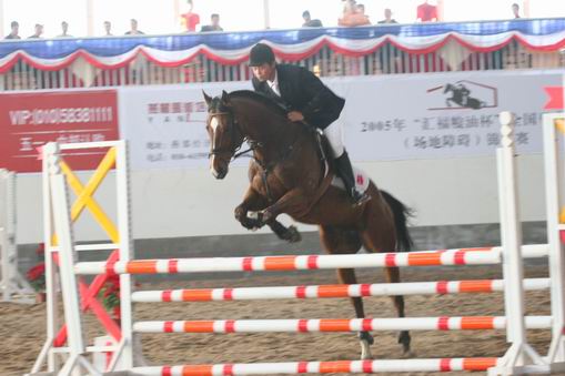 2005年全国马术障碍锦标赛，部分集锦