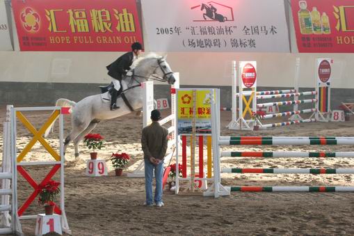 2005年全国马术障碍锦标赛，部分集锦