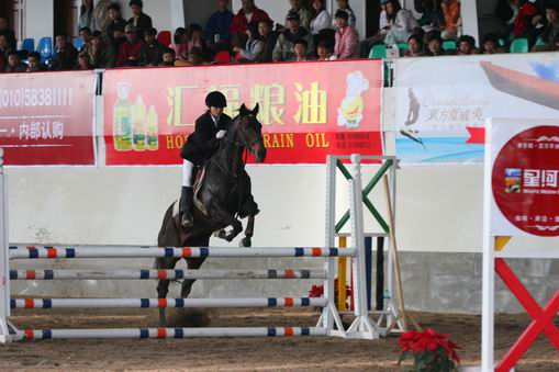 2005年全国马术障碍锦标赛，部分集锦