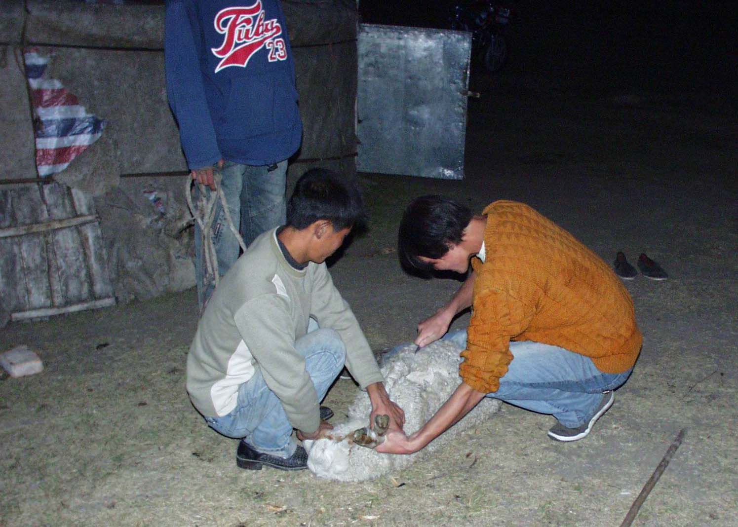 2003年   在美丽的乌珠穆沁草原上