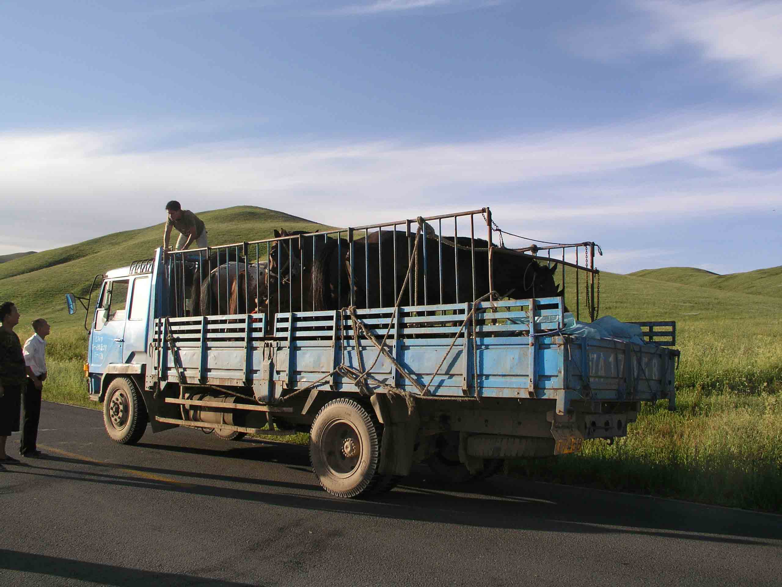 2005年度草原之旅见闻录（引子）