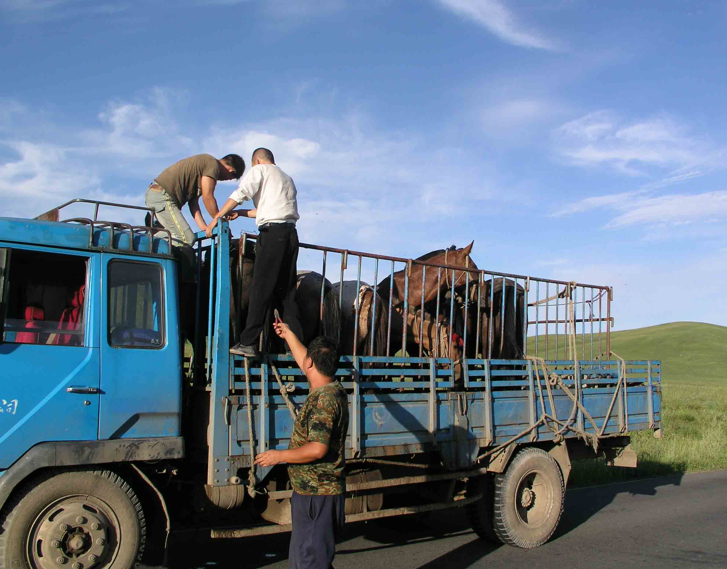 2005年度草原之旅见闻录（引子）