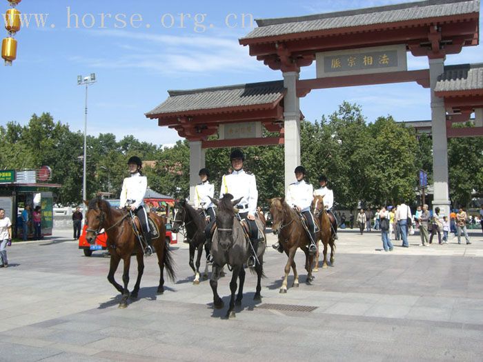 上PP喽 西安大唐礼宾骑兵队