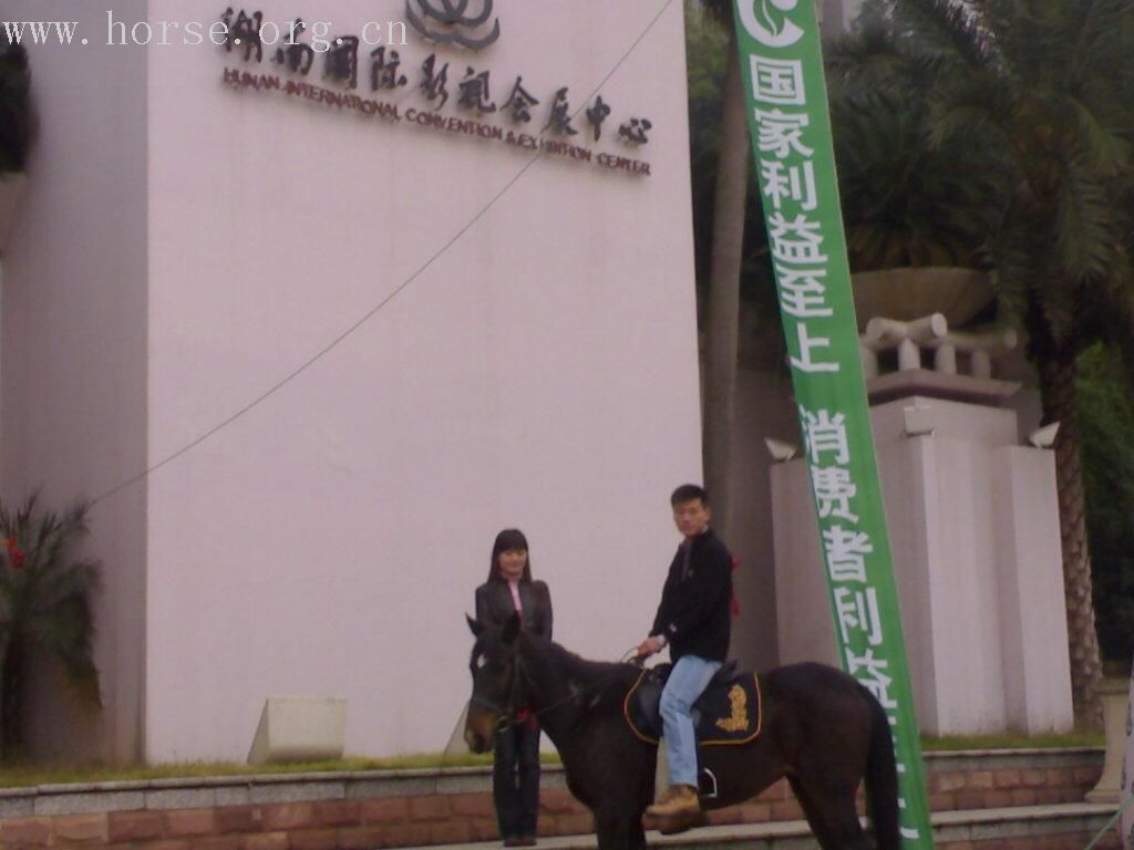 继续上PP 西安大唐礼宾骑兵队队员参加湖南卫视快乐大本营拍摄