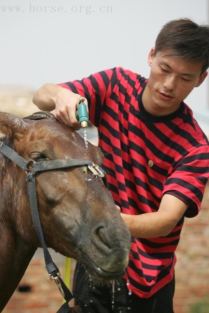 西安大唐礼宾骑兵队 队员介绍