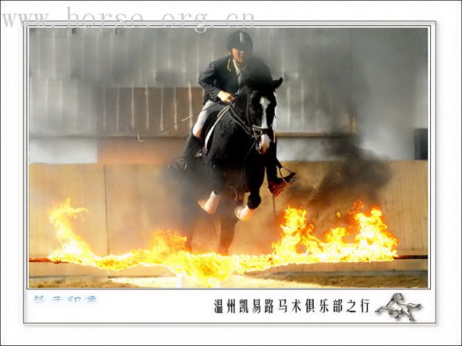 温州凯易路马术俱乐部见闻