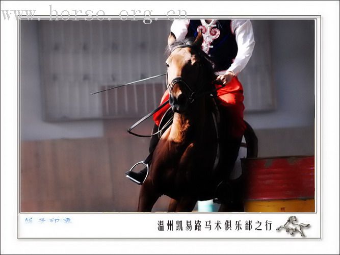 温州凯易路马术俱乐部见闻