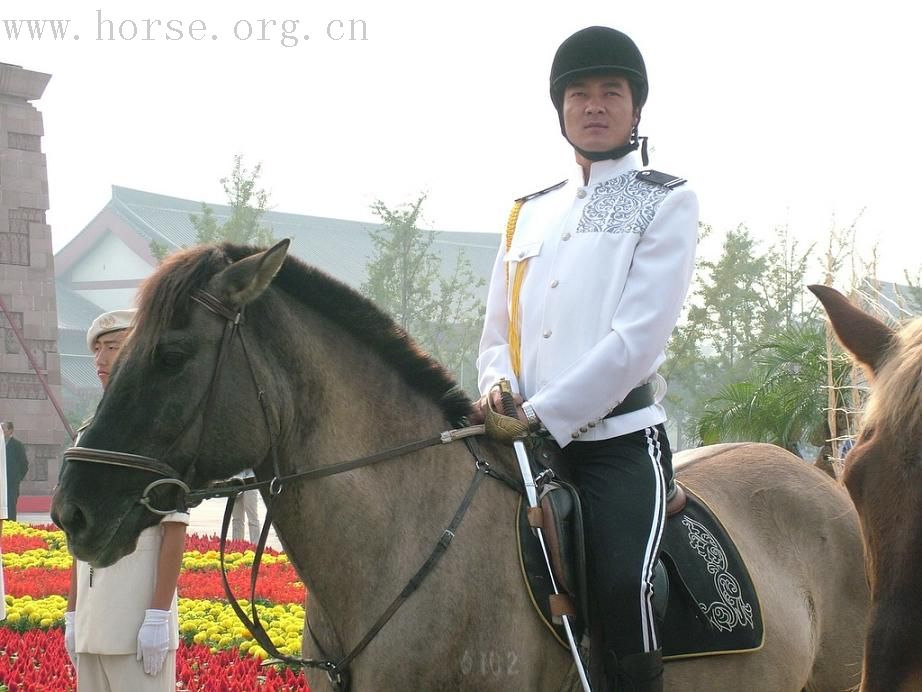 大唐礼宾卫队、骑兵队拍摄照片