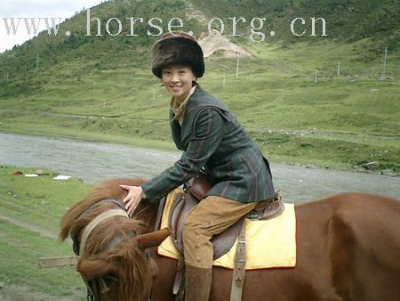 丽人骏马