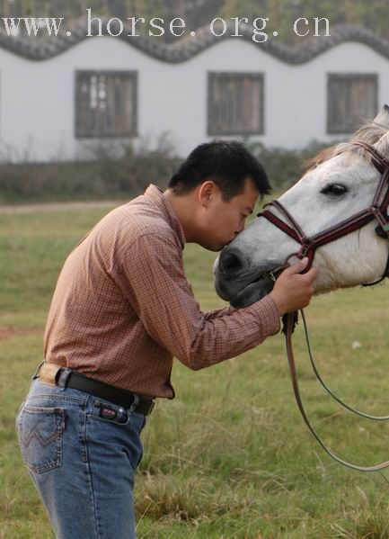 成都大马帮的帅哥骑士们