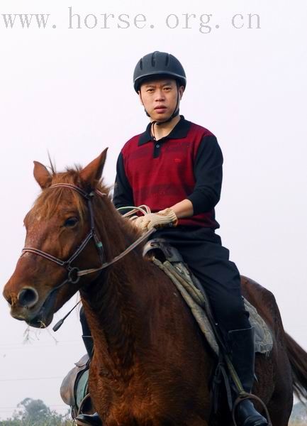 成都大马帮的帅哥骑士们