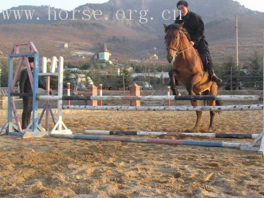 想找赞助和伙伴骑马逛中国带动国人马上运动风气