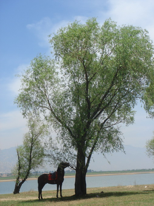 周日太师庄照片