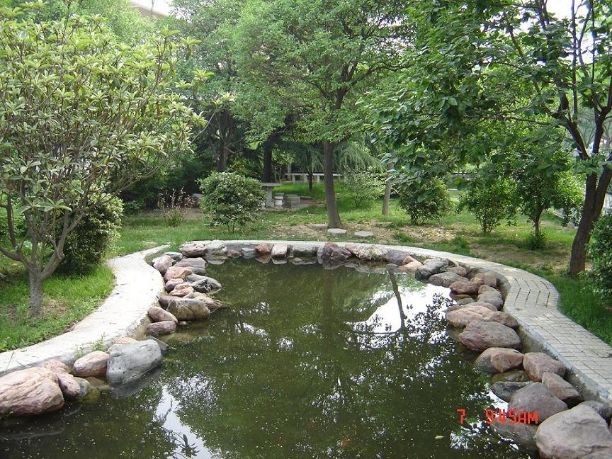 快乐五一行-----大河庄园马术俱乐部--图片