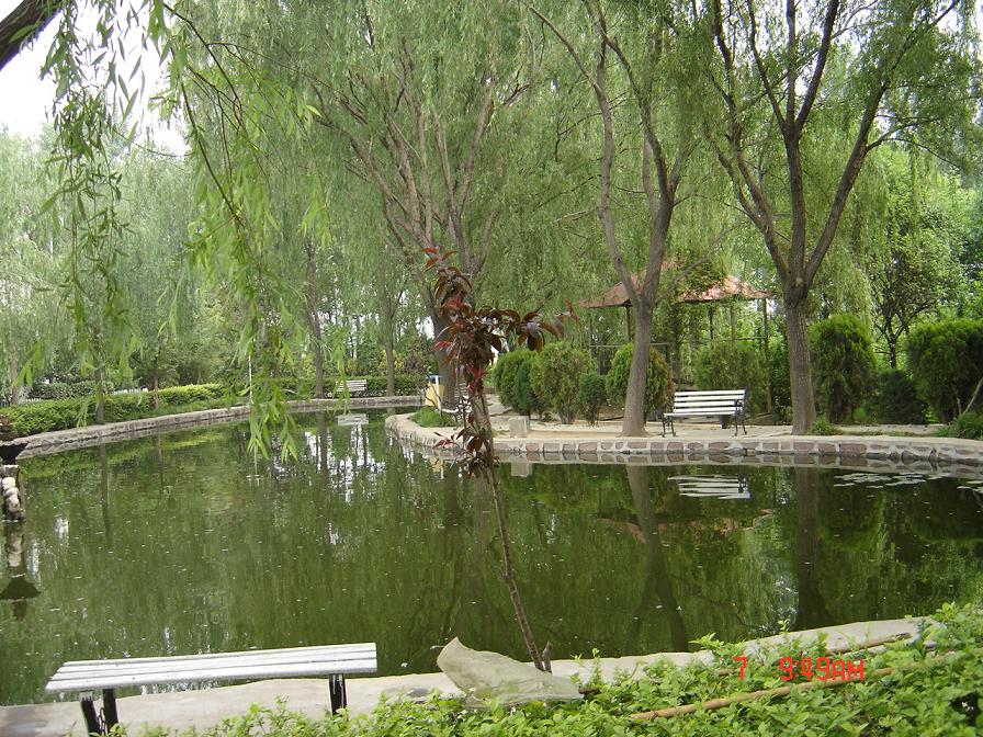 快乐五一行-----大河庄园马术俱乐部--图片