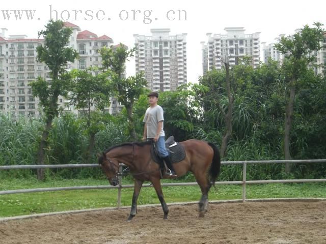 马友在我这里骑的第二节课图片