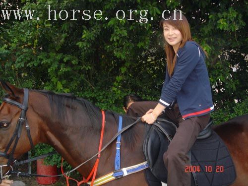 知名女人与骏马