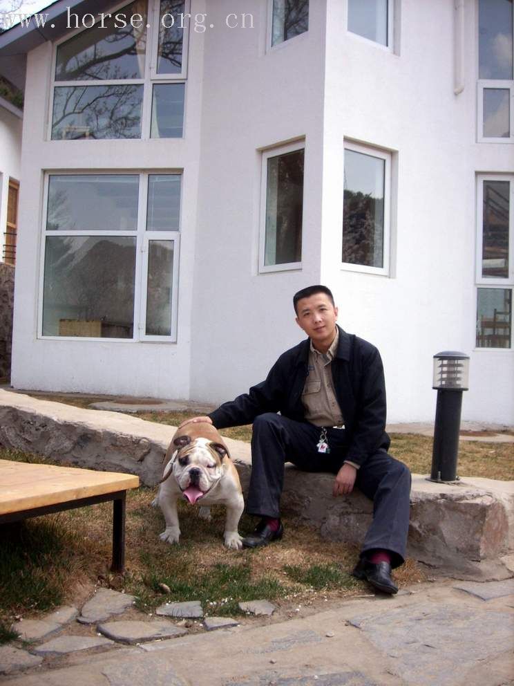 [贴图]我的牛仔狗　想参加超级牛仔狗大赛