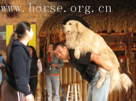 6月30－7月2日坝上照片！！！