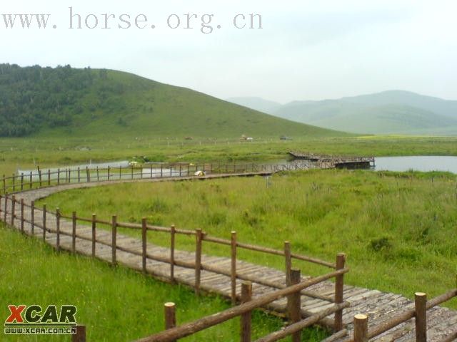 8.12-8.13坝上孤石军马场