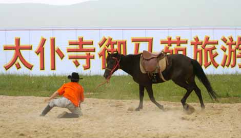 [贴图]首届中国绕桶赛