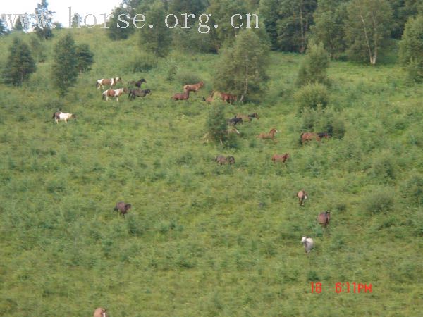 2006.8.19－－传奇汇报照片（部分）